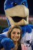 Rocko, Broadway Florist to help play Cupid